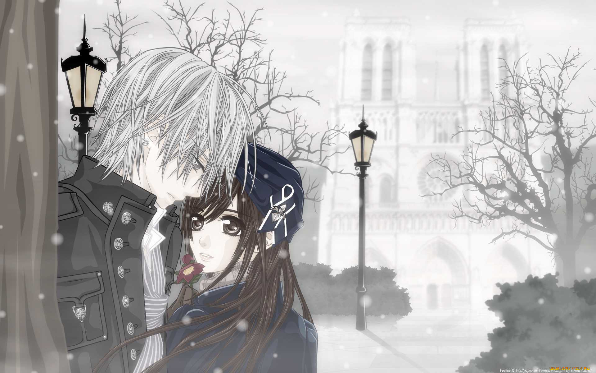 , vampire, knight